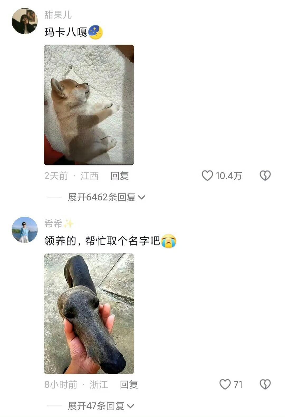 全家作息最规律的