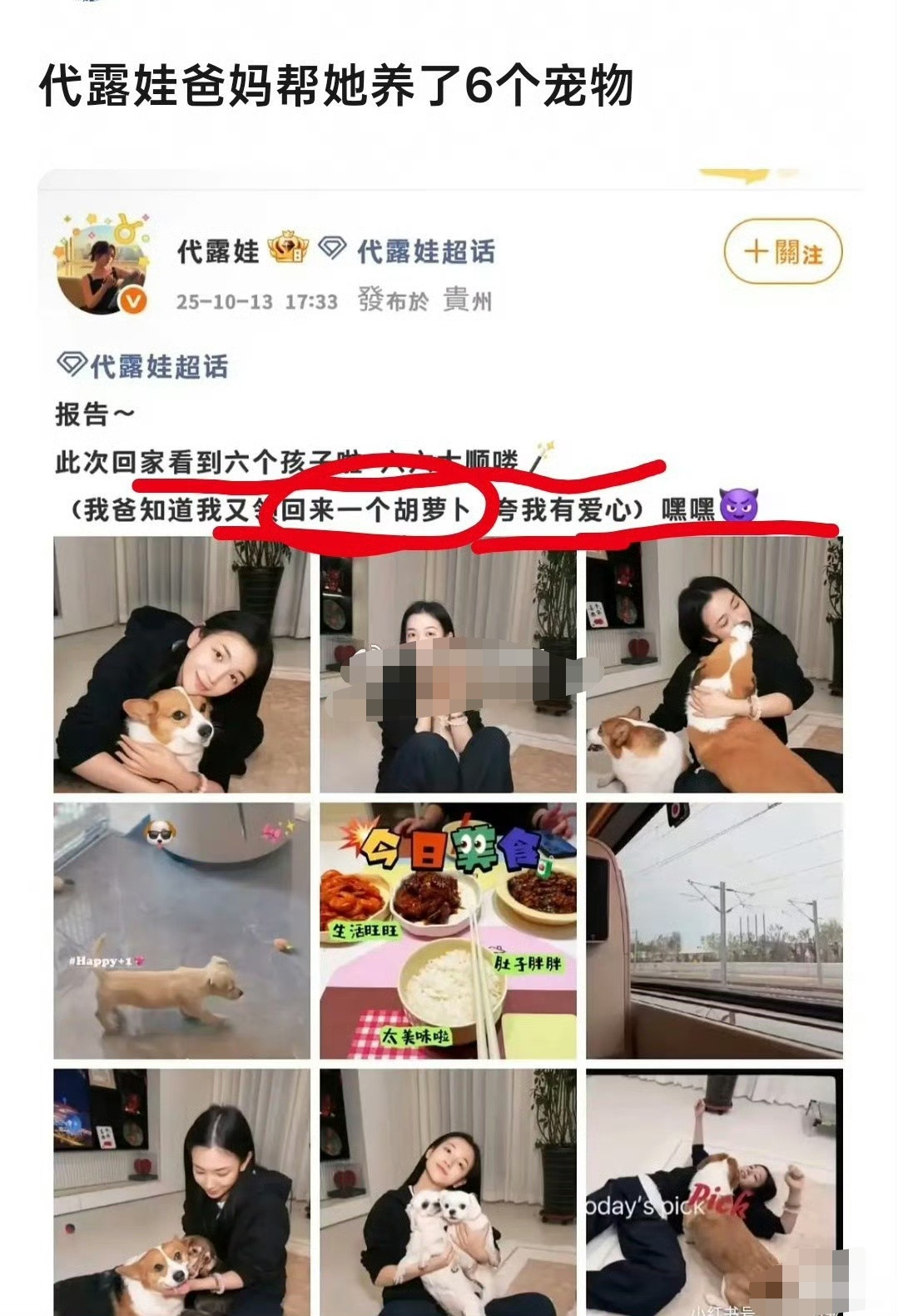 代露娃爸妈帮她养了6个宠物代露娃爸妈帮她养了六个宠物网友考古发现代露娃爸妈帮她