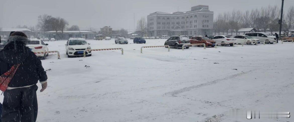 哈尔滨一位网友求助：家里90岁奶奶喜丧离世，奶奶没太多朋友，亲友也不在当地，就想