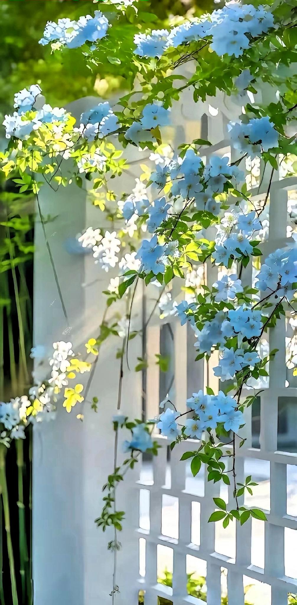 一位教育专家说:“现在上不上大学已经无所谓了，已经到了应该放弃应试教育，转头去