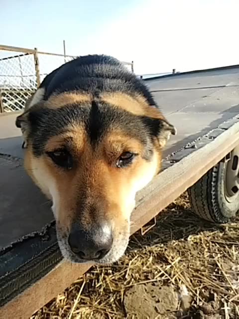 站着坐着都想你DJ