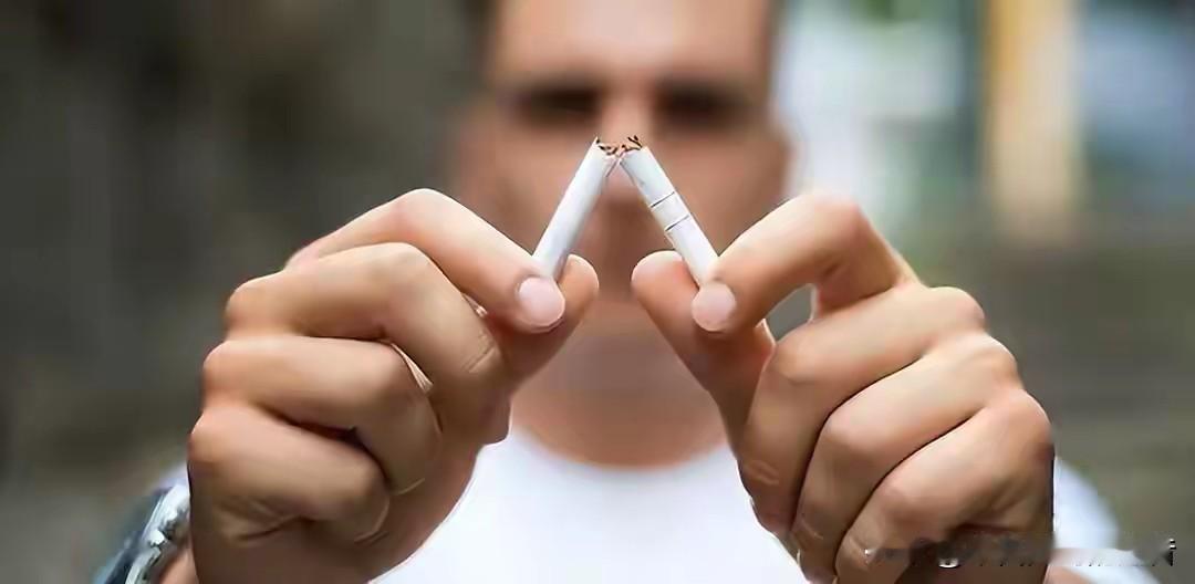 前两天翻到一个旧数据，看完愣了半天——美国街头的假万宝路，十包里有八包出自福建云