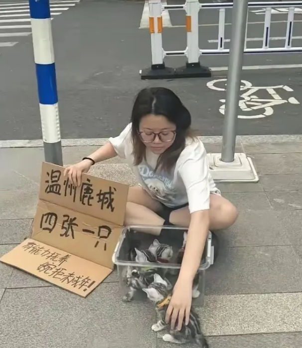 讲道理，4块钱真的便宜！