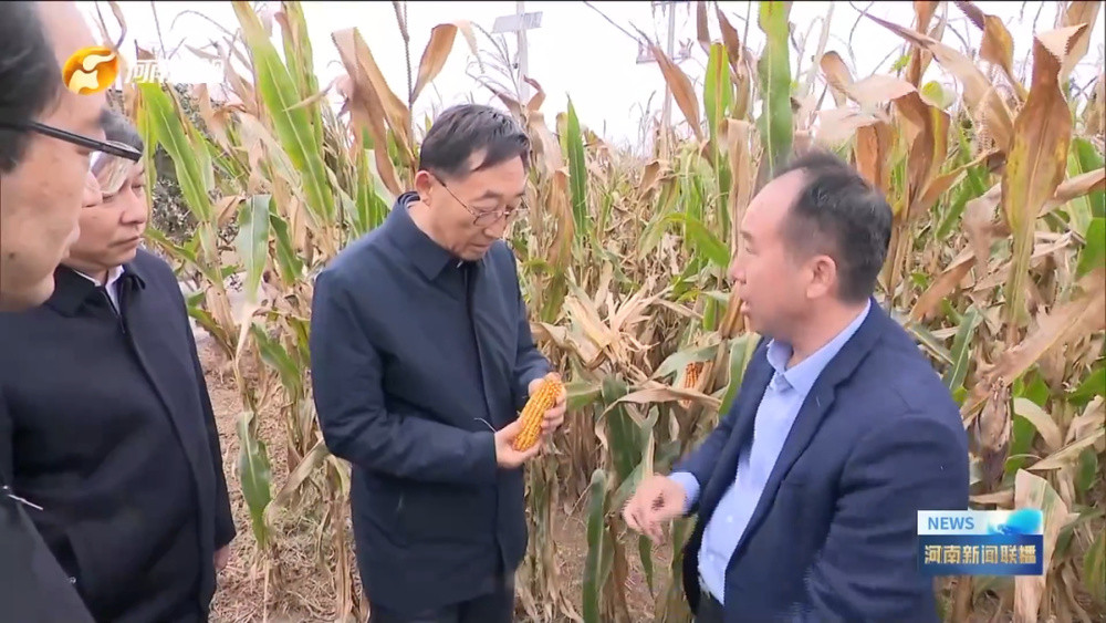 河南省委书记调研, 现场测量玉米含水量