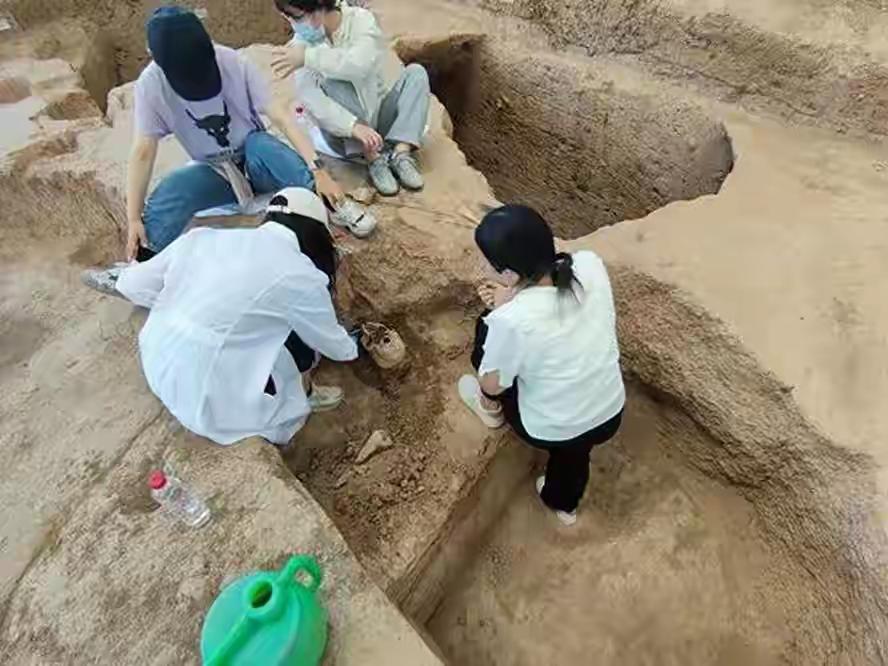 最新研究表明，中华民族约70%的基因来自同一批黄河农夫。自7000年前仰韶文化兴