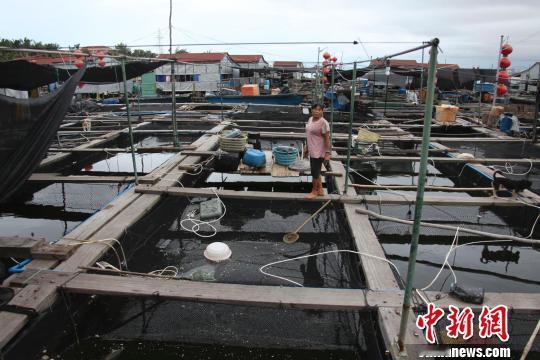 【赤岭村变了，渔排变网红栈道！但这种味道几十年没变】都说海南变得快，赤岭村就是个