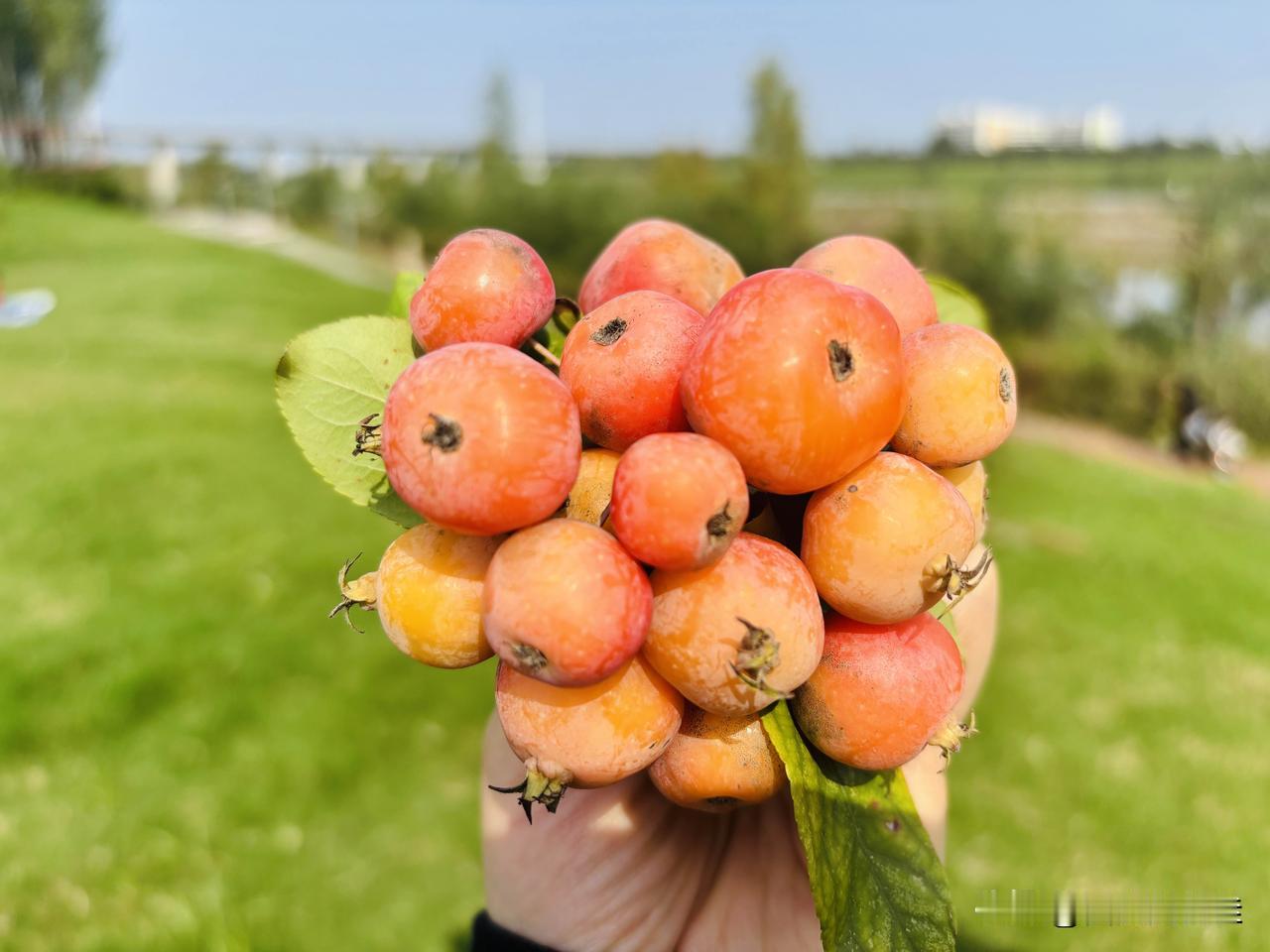 退货还能让你挣快递费???太不可思议了,难道就是快递费漏洞!!!今天和
