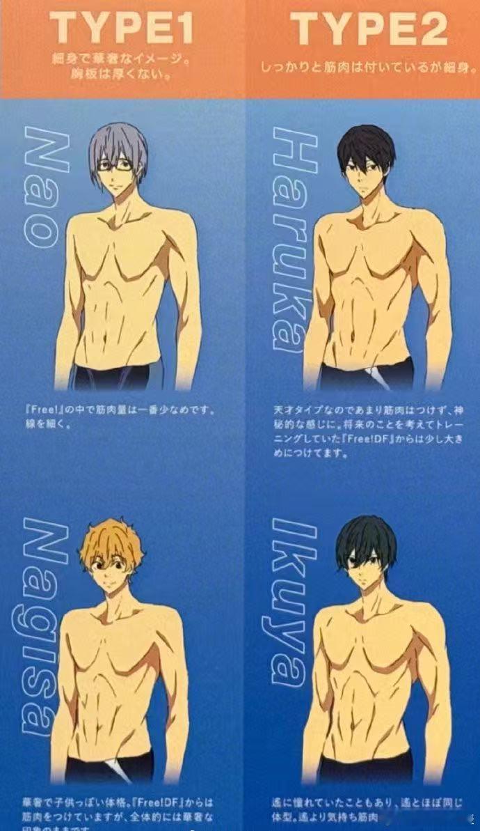 Free角色肌肉含量排名《Free!》动画总作画监督冈村公平总结的几位角色的肌肉