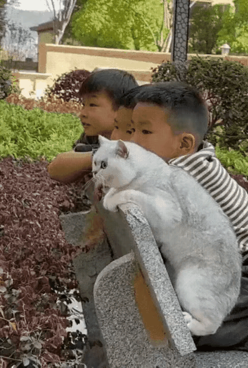 这哪是养猫啊，简直是给娃找了个贴身“大哥”！😂刷到这画面