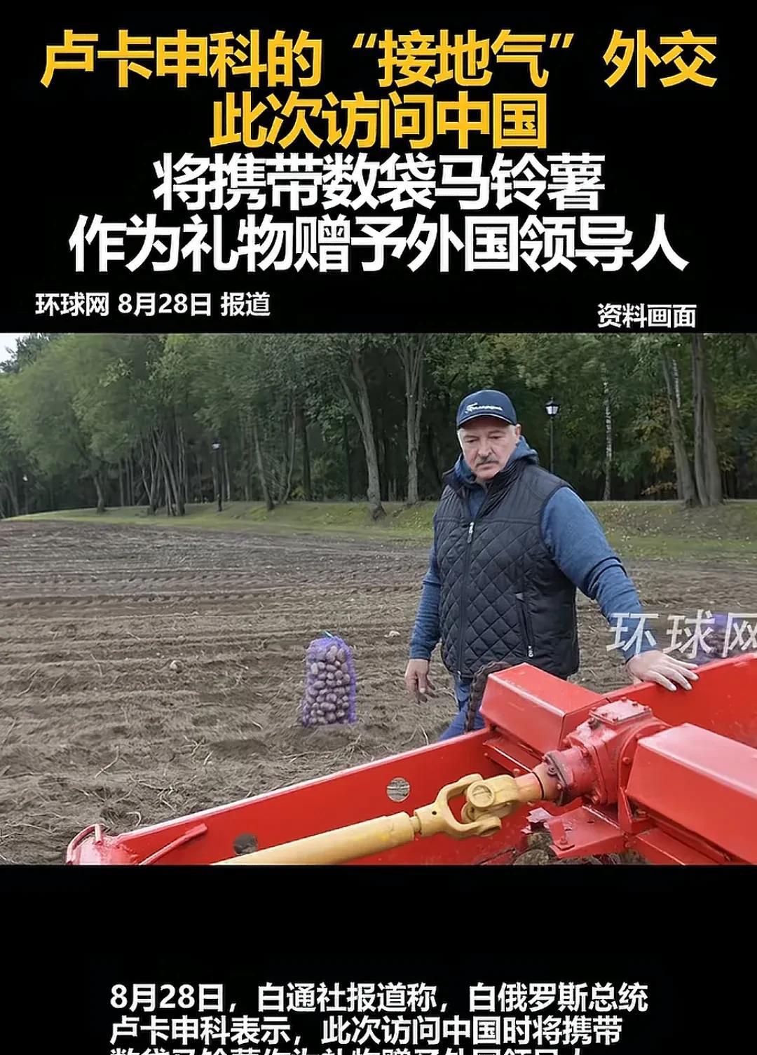 白俄罗斯总统卢卡申科站在土地里扶着机器，旁边摆放是装好的这次来华礼物马铃薯。这
