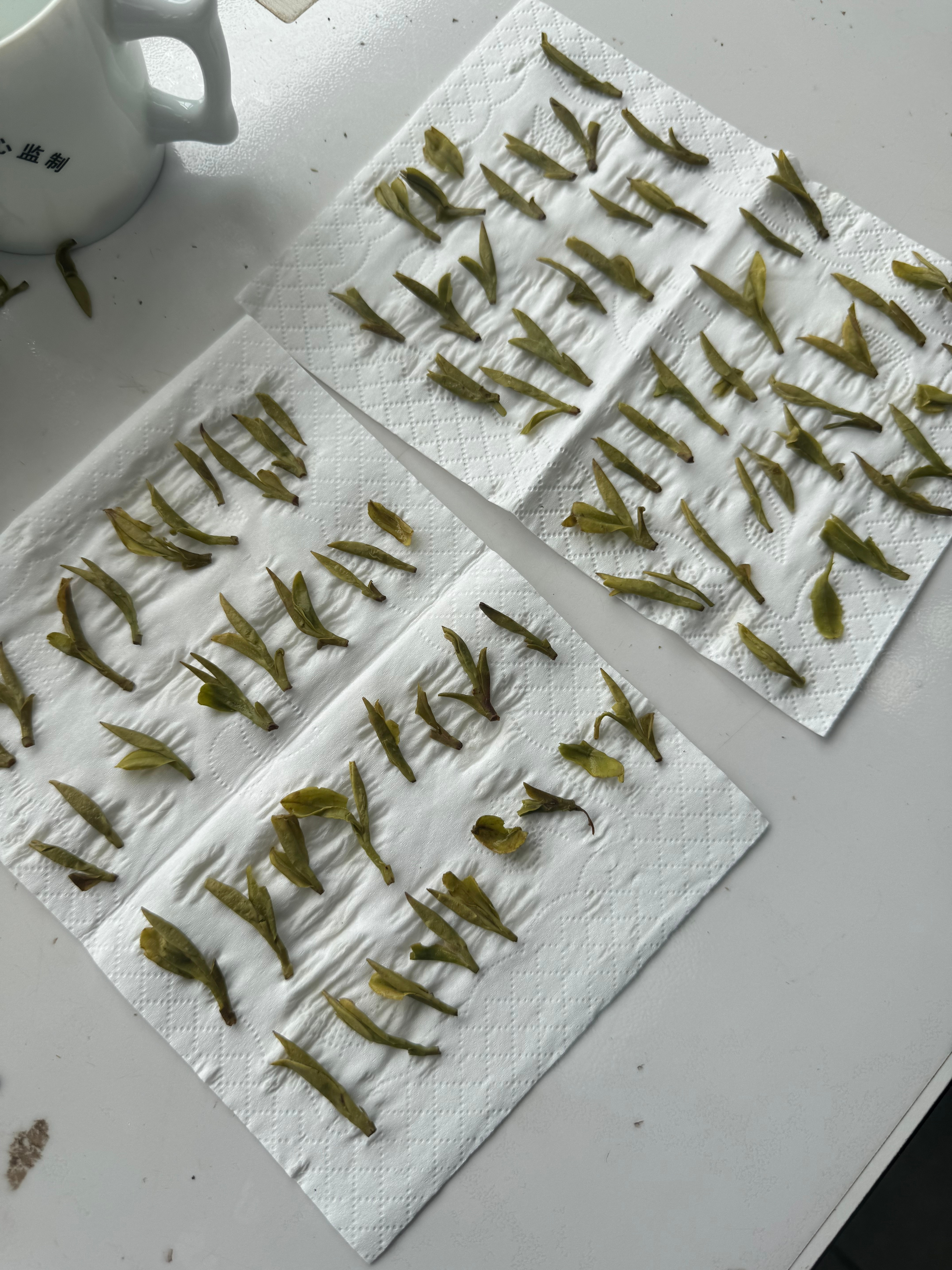 一网友花上万元囤百箱香飘飘拆茶包数芽头也太可爱了吧！消费者：我不信→我数数→对不