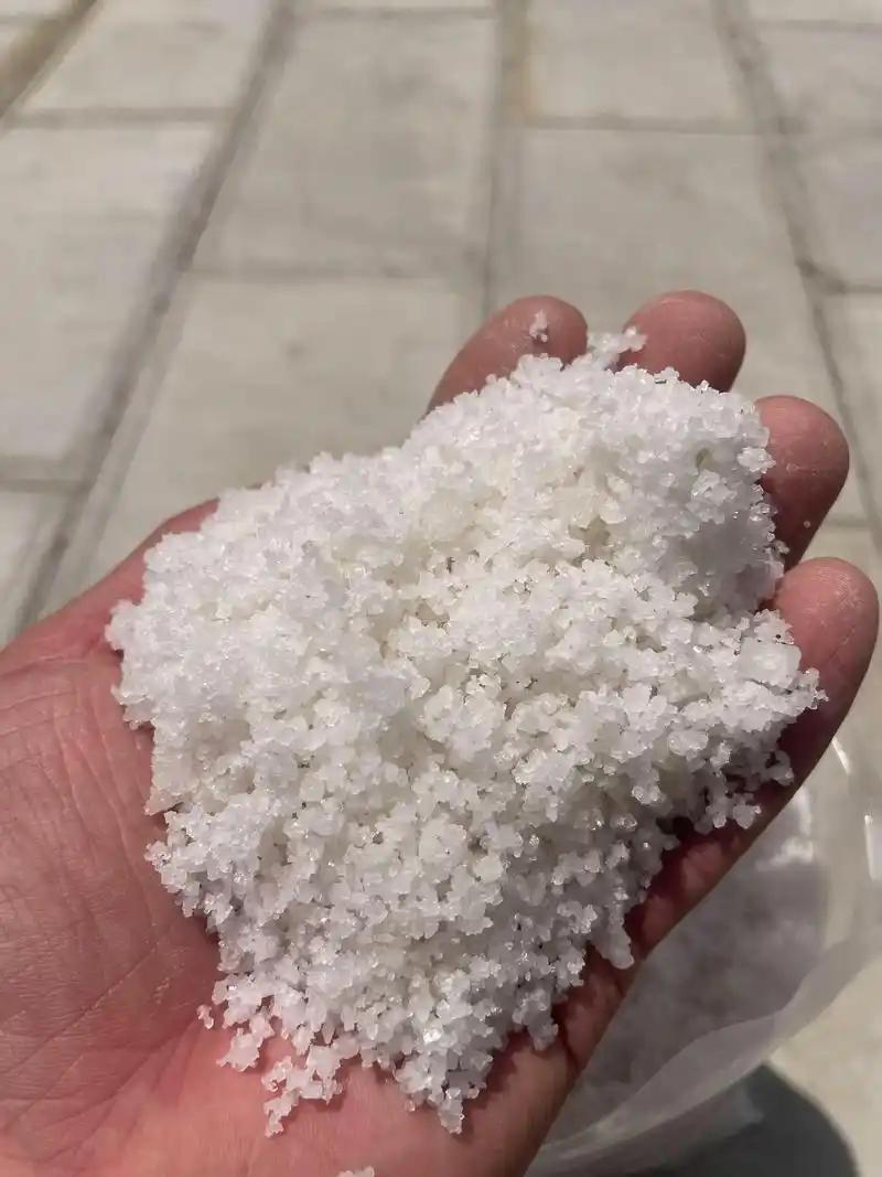 别再被误导了！很多人以为只有人类才需要天天吃盐，其实在野外，盐分是所有动