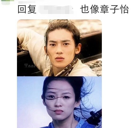 网友：一个时代有一个时代的章子怡和巩俐​​​
