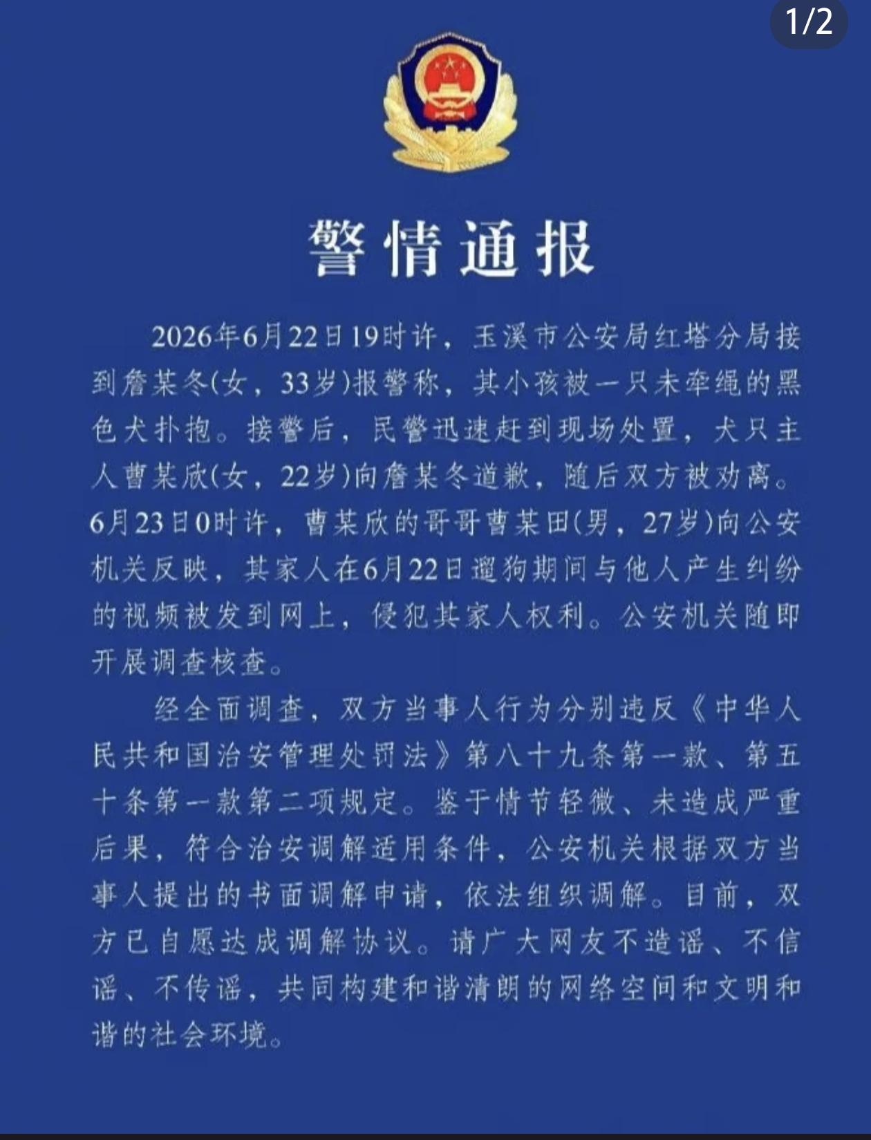 这么大的一条狗，竟然不拴狗绳不戴嘴罩？估计孩子被吓得不轻。