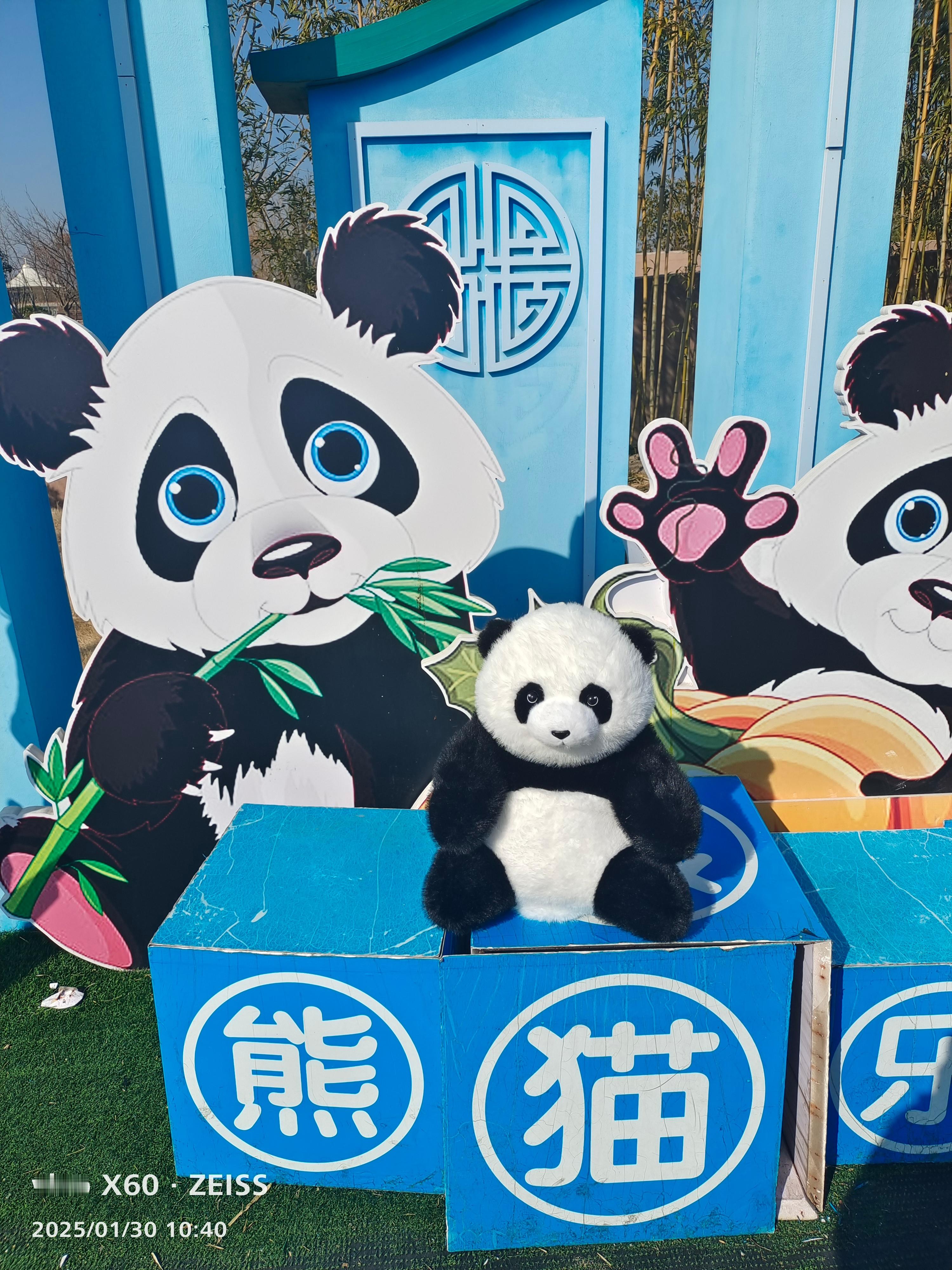 抱走熊猫🐼宝宝[大笑]