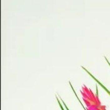 人生嘛，总有不期而遇的温暖和生生不息的希望​​​