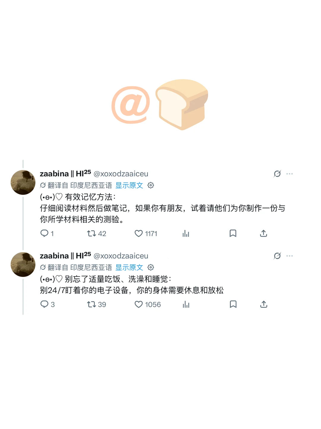 外网万赞爆火｜哈佛大学学生的学习方法