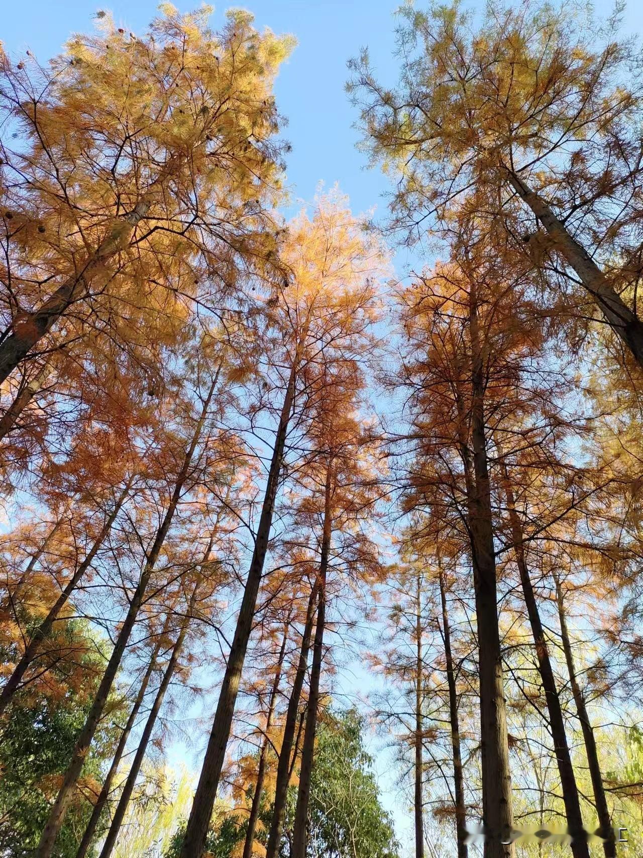 晚上和一个女性朋友聊天，正好说到她买冲锋衣，天要冷了，选了三个品牌的，买了五个颜