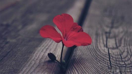 老公爱咋地咋地，我只要把钱攥在手里就行。管他回不回家，乱不乱搞。等他老了就回来了