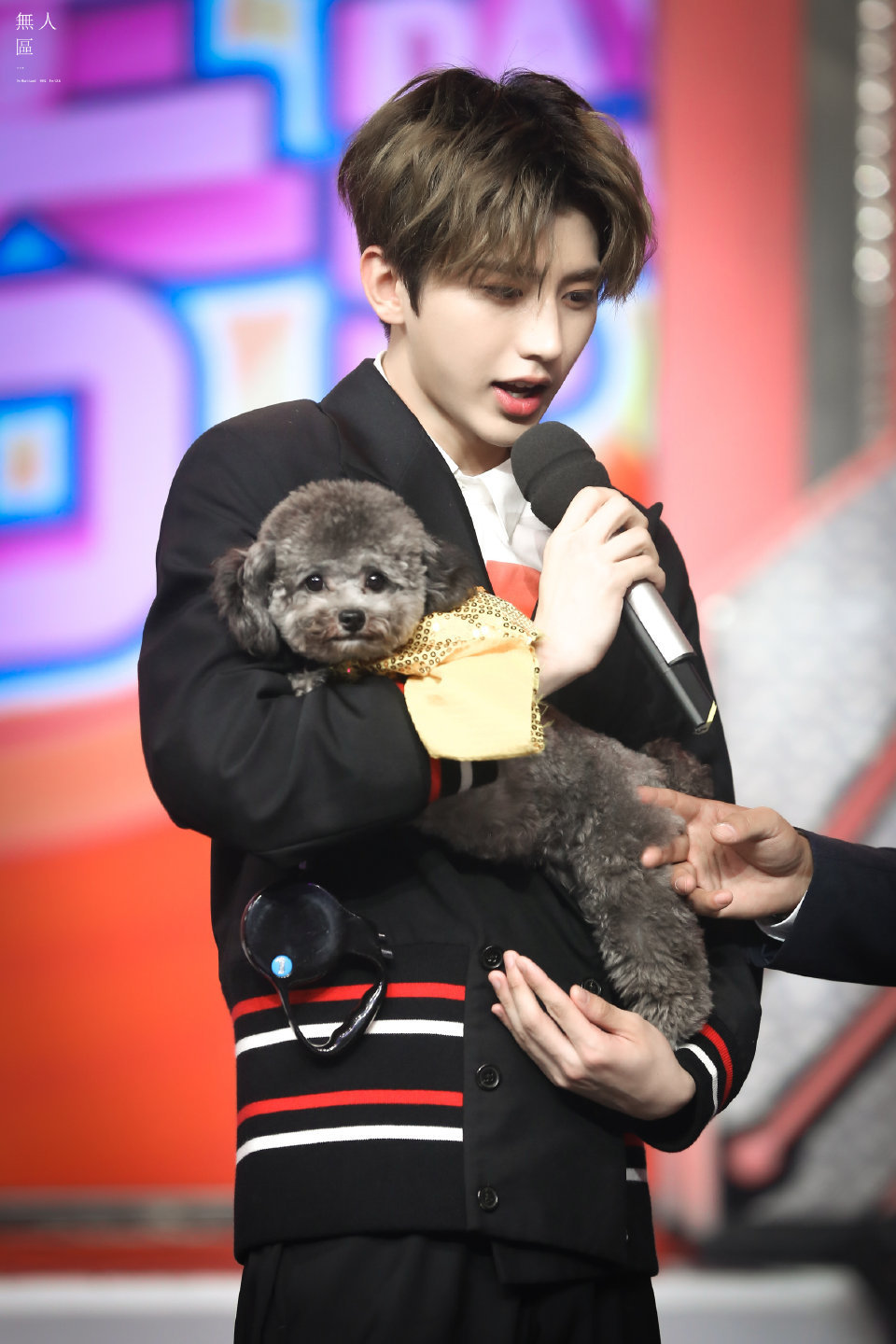 蔡徐坤抱小狗狗完全是妈咪级别