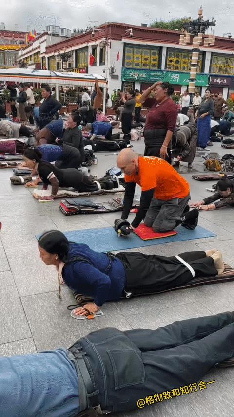 果然洋相还得洋人出，这样磕长头对吗？[大笑]