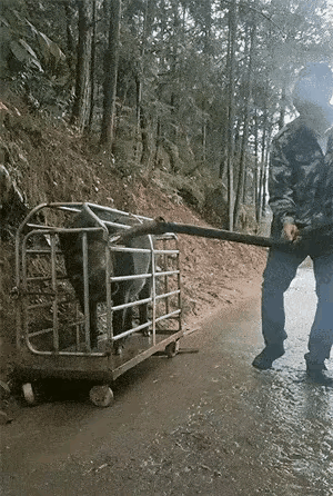 天寒地冻，家里要烧火取暖，妻子让老公去劈柴火。看着一大堆木头，男子发愁不知道要劈