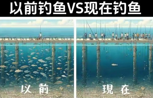 为什么以前钓鱼长辈觉得是不务正业？