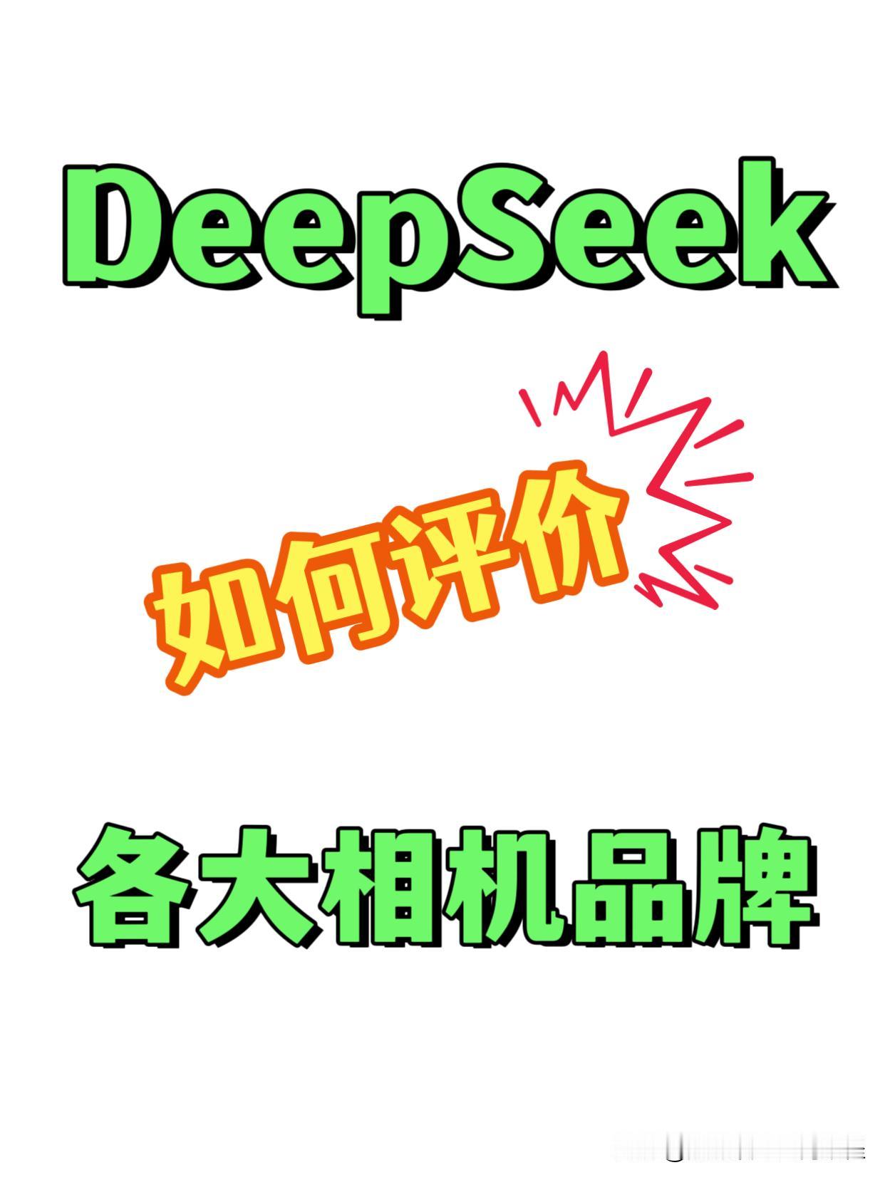 我们给deepseek输入一段指令：“如何评价佳能，索尼，尼康，富士，松下，徕卡