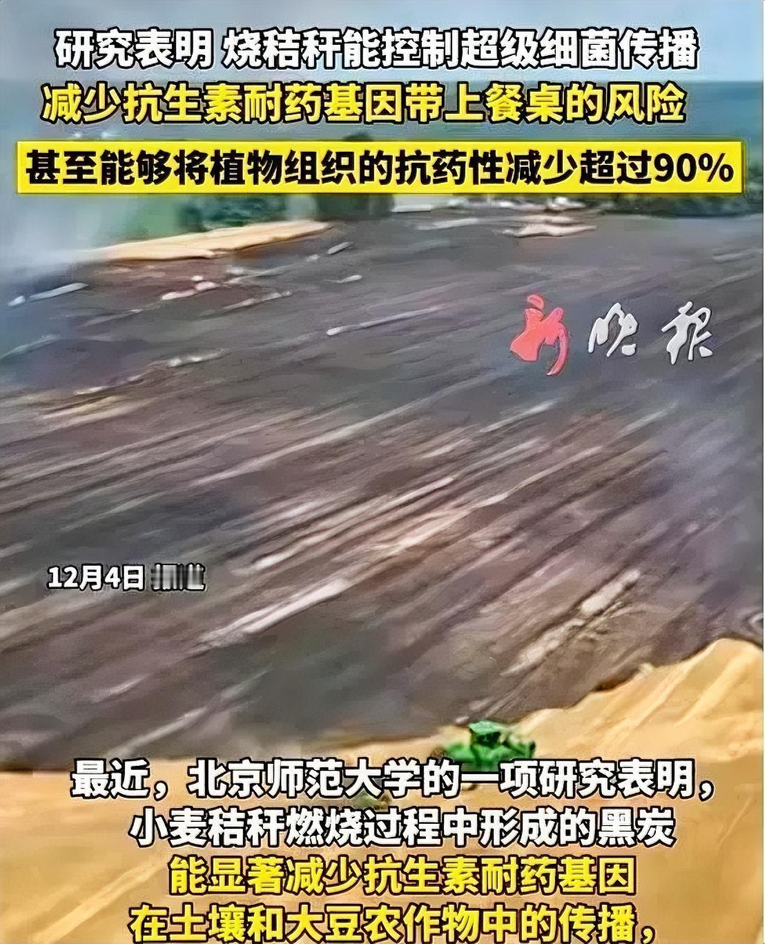 北师大的最新研究成果显示焚烧农作物秸秆产生的黑碳，可以有效地削减农作物中抗生素