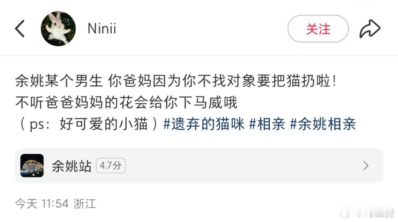 -儿子不找对象就把儿子的猫扔了？？怎么会有这么离谱的事情！！