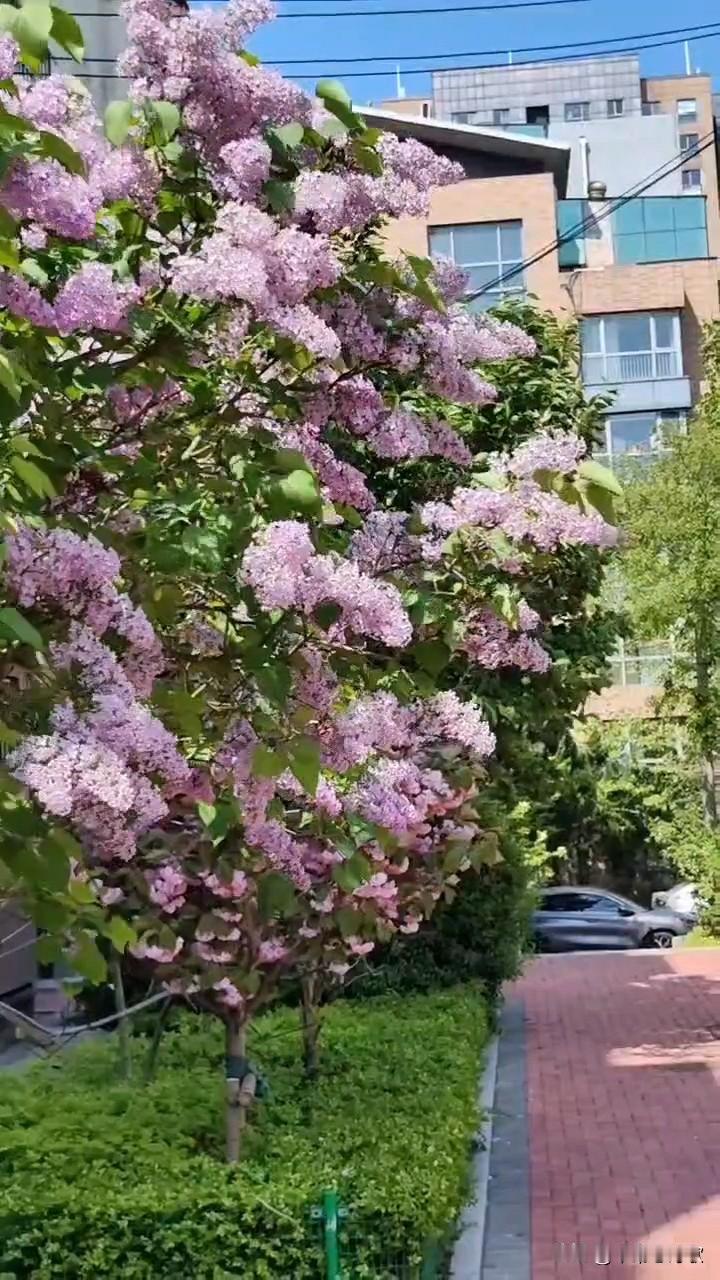 谁说我怎么爱上摄影的，因为当初在照相馆照相几年。还因为我丈夫给我买过一本摄影方面