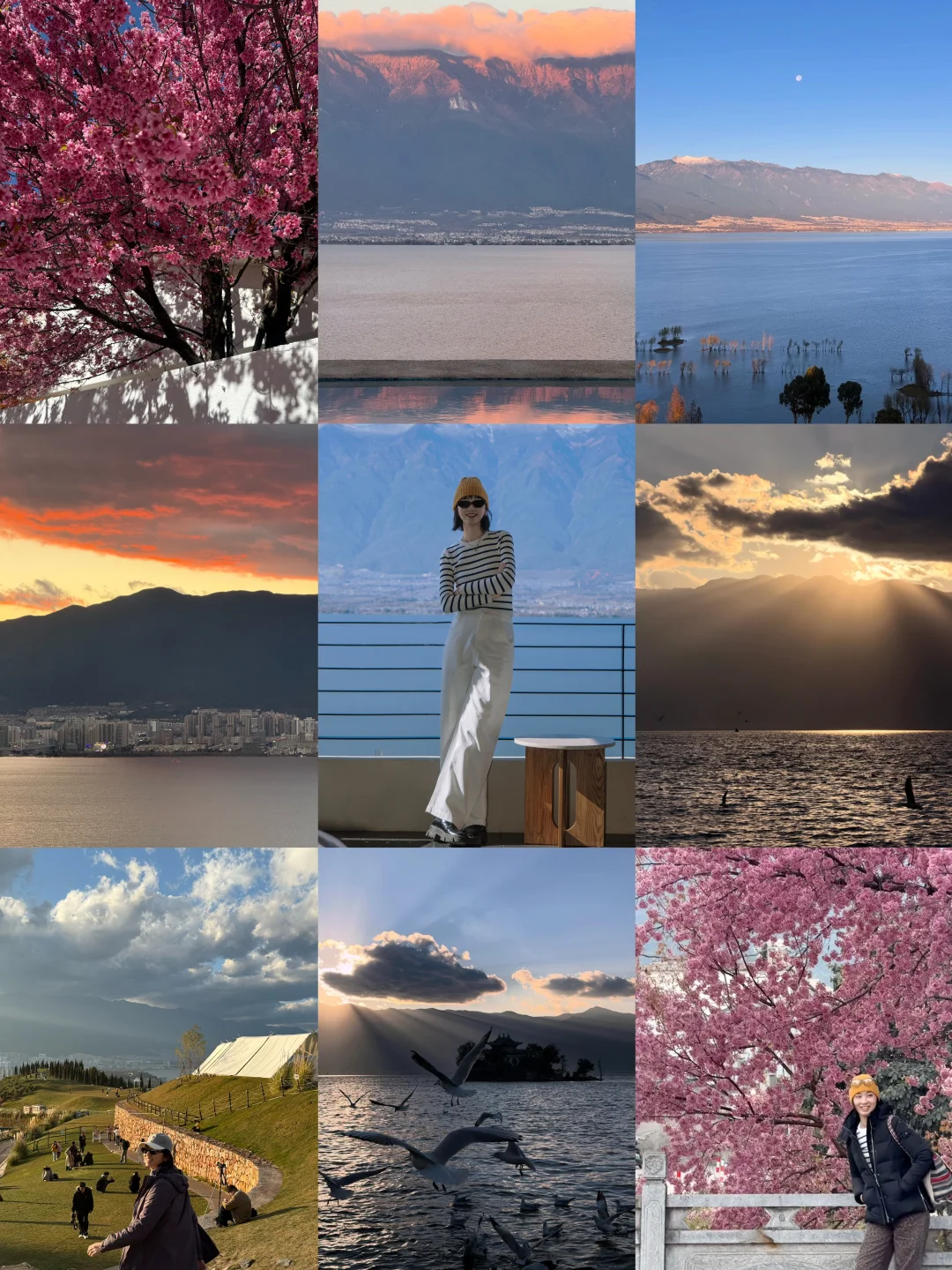 对大理就是生理性喜欢🥰