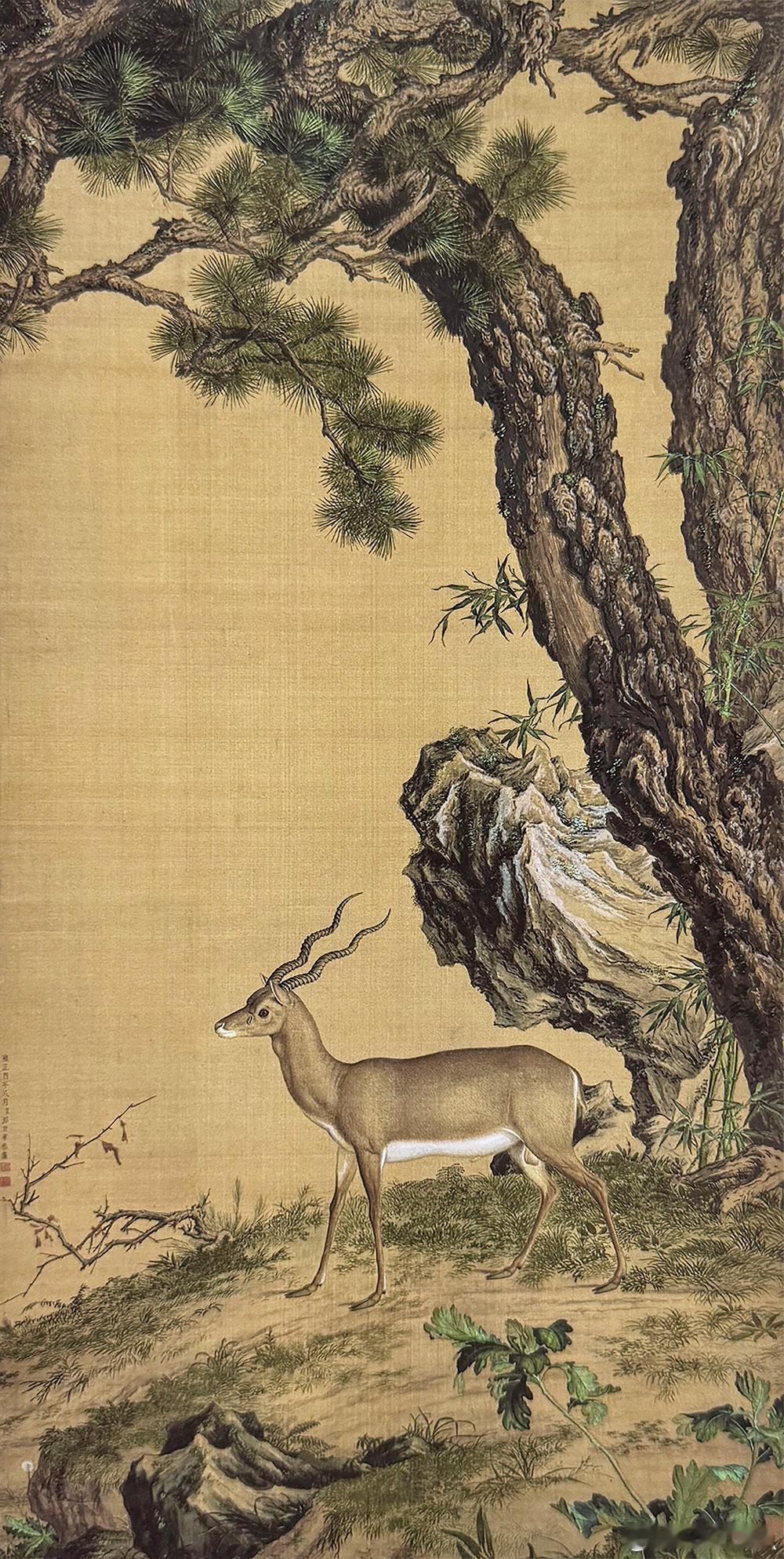 【中华名画欣赏《松树羚羊图》（郎世宁）】《松树羚羊图》是意大利传