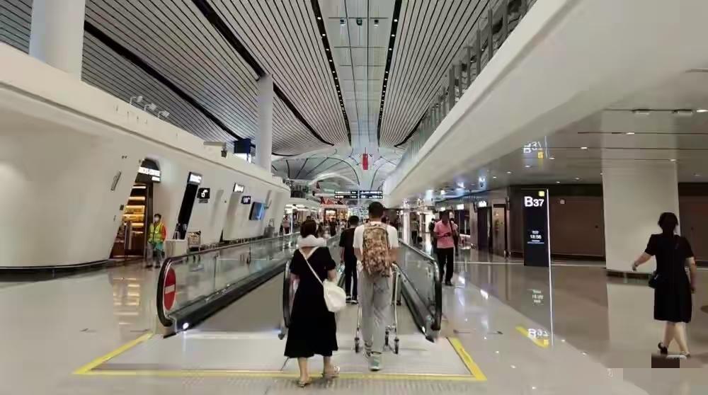 最近，三十多万泰国游客涌入中国，名义上是旅游，实际上却目标明确。他们不打卡景点