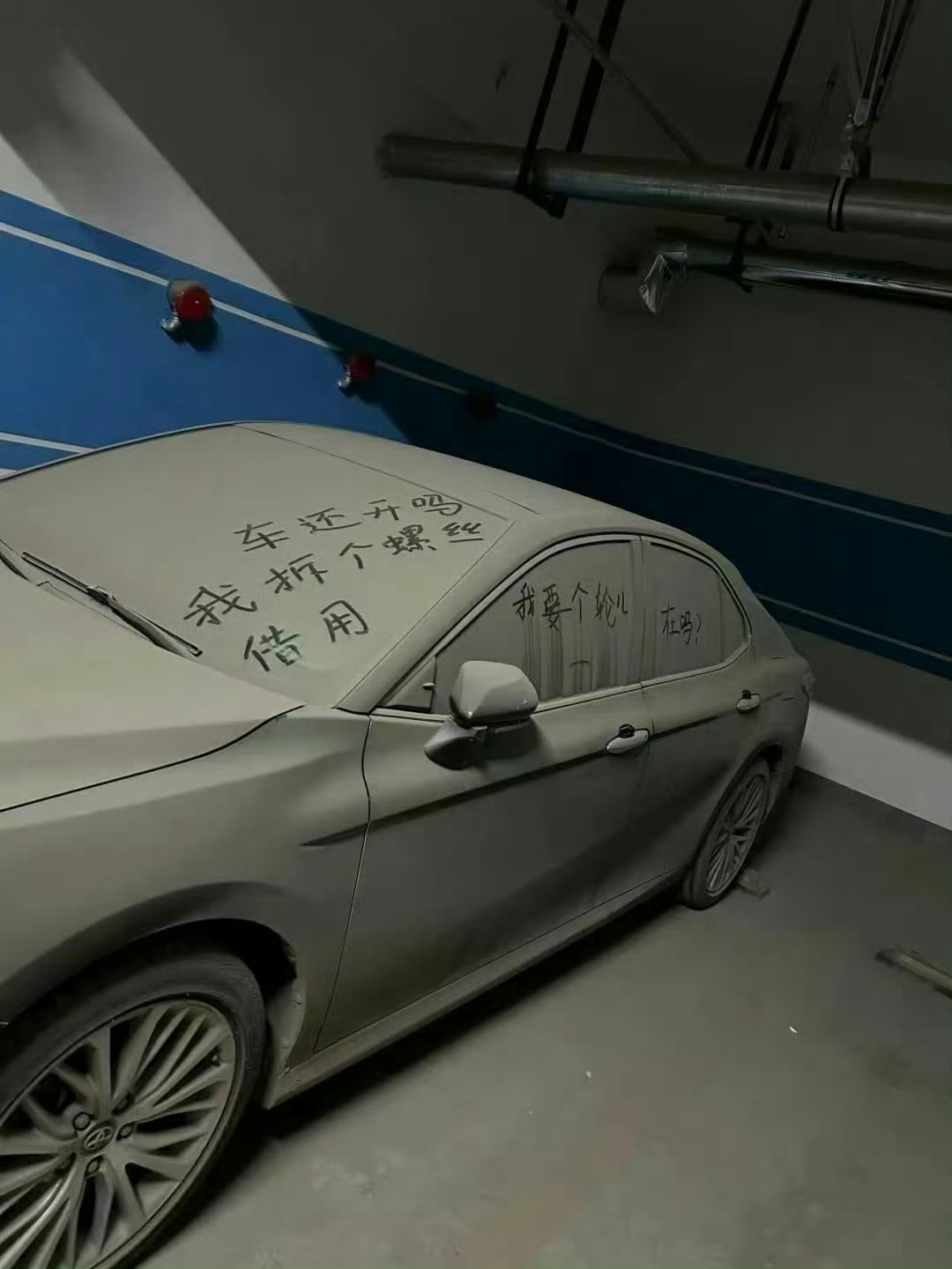 一般这种情况，车主是怎么了？难道太有钱了，忘记有这么个车？