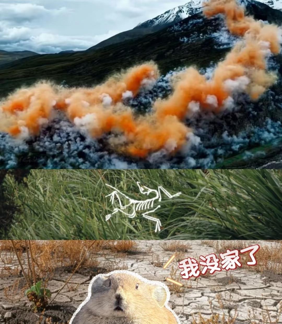 我问了喜马拉雅山附近的朋友:蔡国强这场烟花秀说做了万全的措施，你们住附近感受怎么