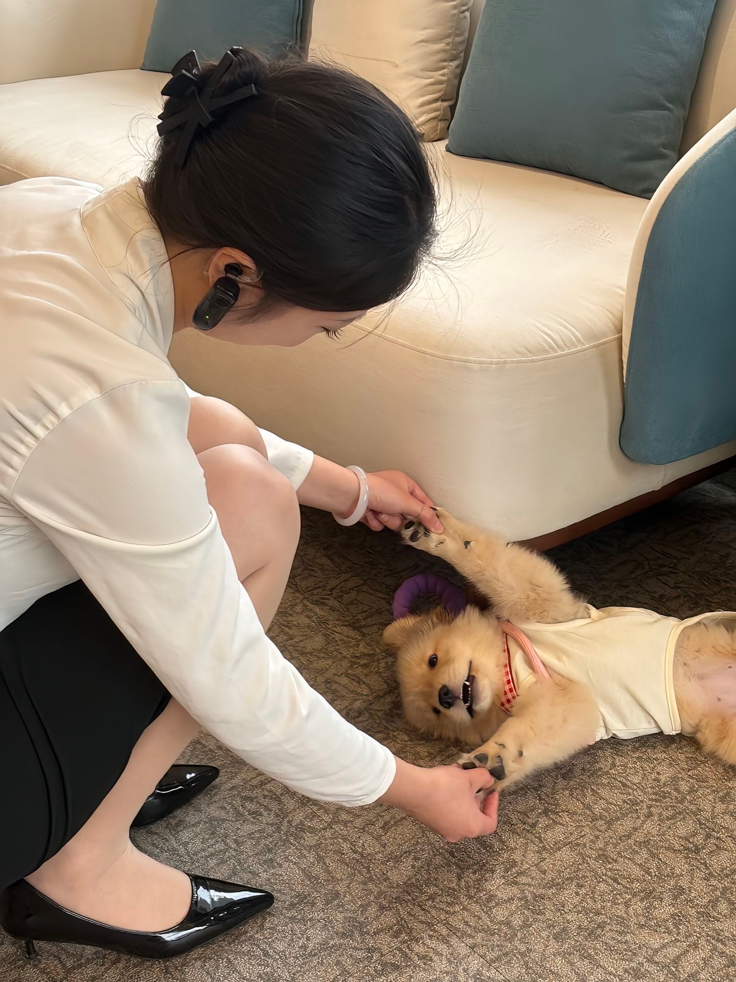 xiu狗太可爱啦​​​