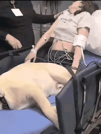 深夜宠物主倒地抽搐.人犬验血毒素同源.警方介入调查无果.某天深夜，医院送来一对