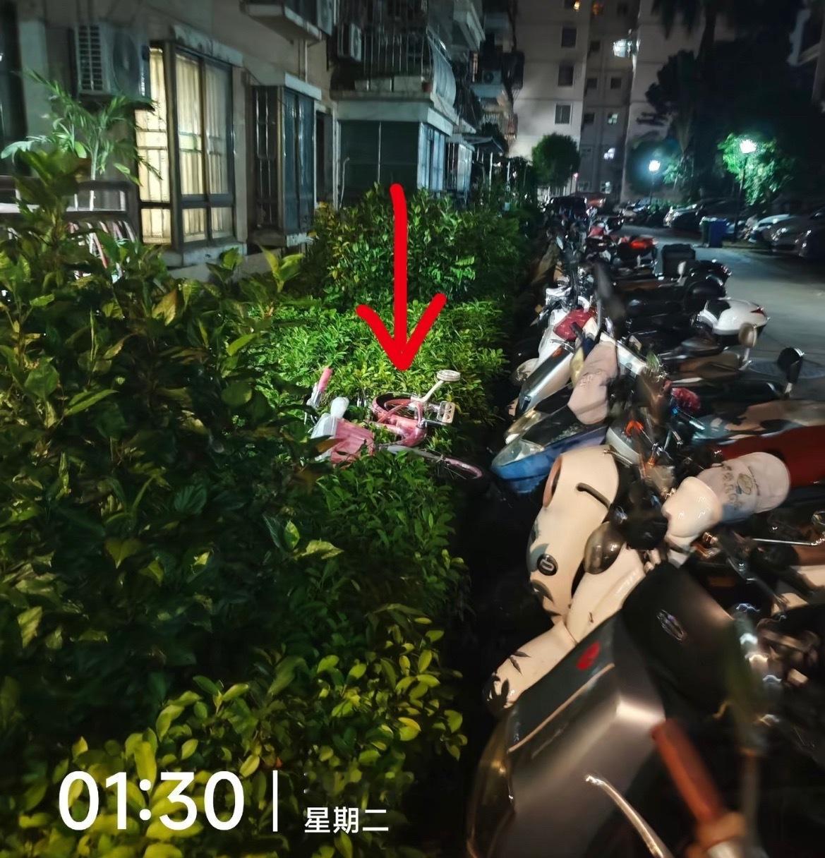 【南宁业主凌晨回来看见孩子的车被丢草丛】9月8日凌晨，网友爆料称：广西南宁某小区