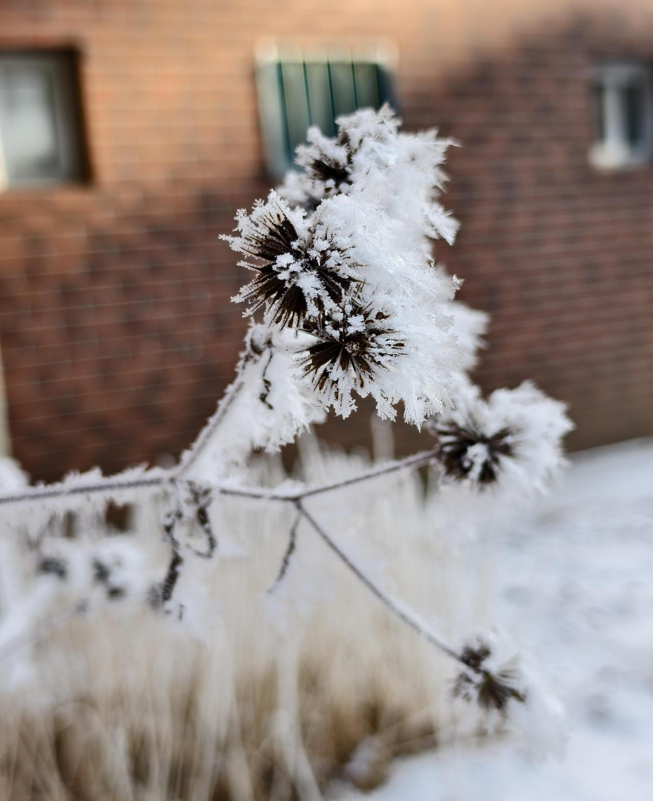 我55岁了，71年单身独居女人，我准备孤独终老了独居的第十三个冬天，我早就习