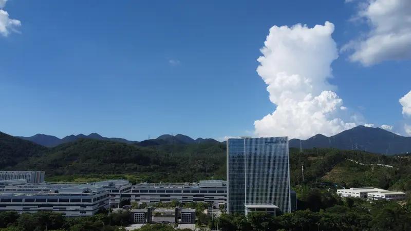 想在投资中获得真正的回报，时间与定力往往是比技巧更关键的要素。岩山科技今天开