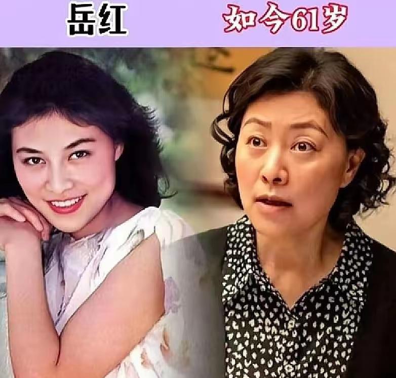 岳红年轻的时候五官很精致，现在老啦！史可年轻的时候真美！现在老啦。沈丹萍年轻