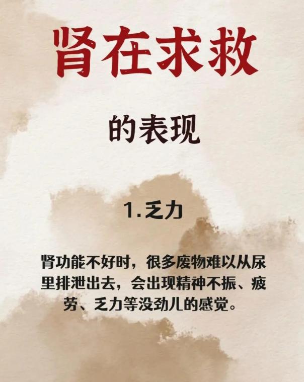 身体出现这些表现，提示肾气需要调养