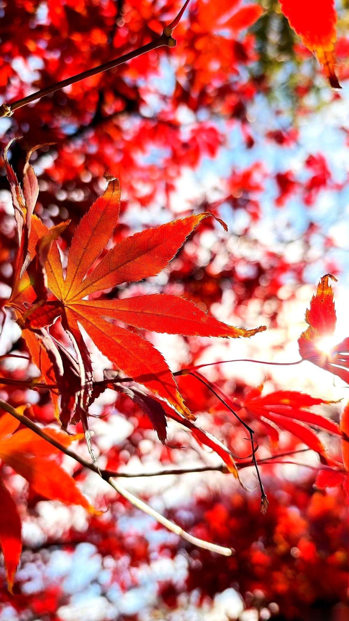 七万大军过独木桥，最后能上岸的，3639人。你以为这就完了？这三千多人里，能进