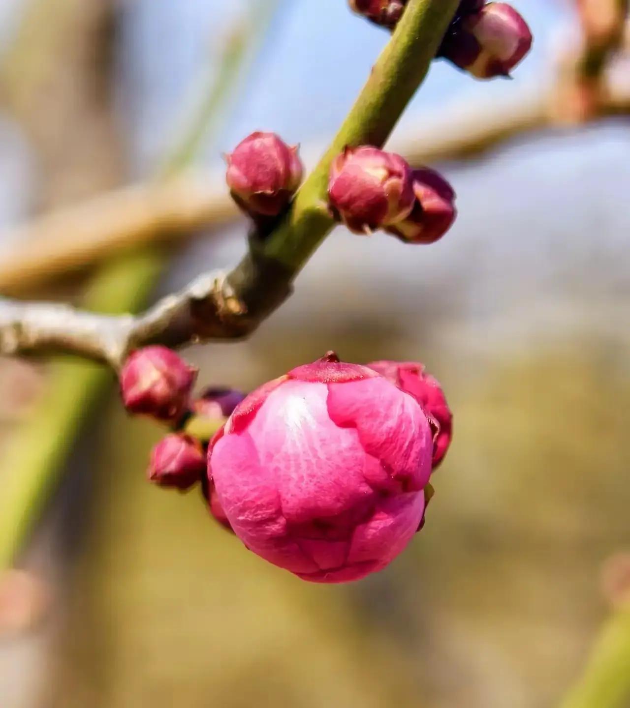 60岁一退休，很多人突然闲下来，反而过得更累更堵心。身体垮了、心态崩了，日子像一