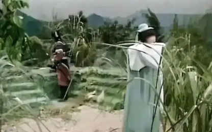 30多年前观众的宽容度确实是高啊，这后面的山...简直令人看得目瞪口呆