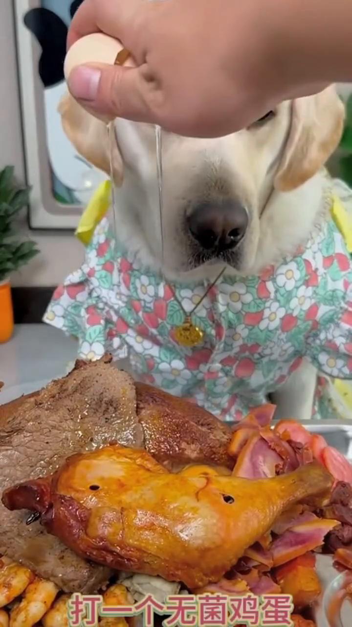 一个大鸡腿，打一个无菌鸡蛋，正儿八经的搅拌一下，开饭啦。