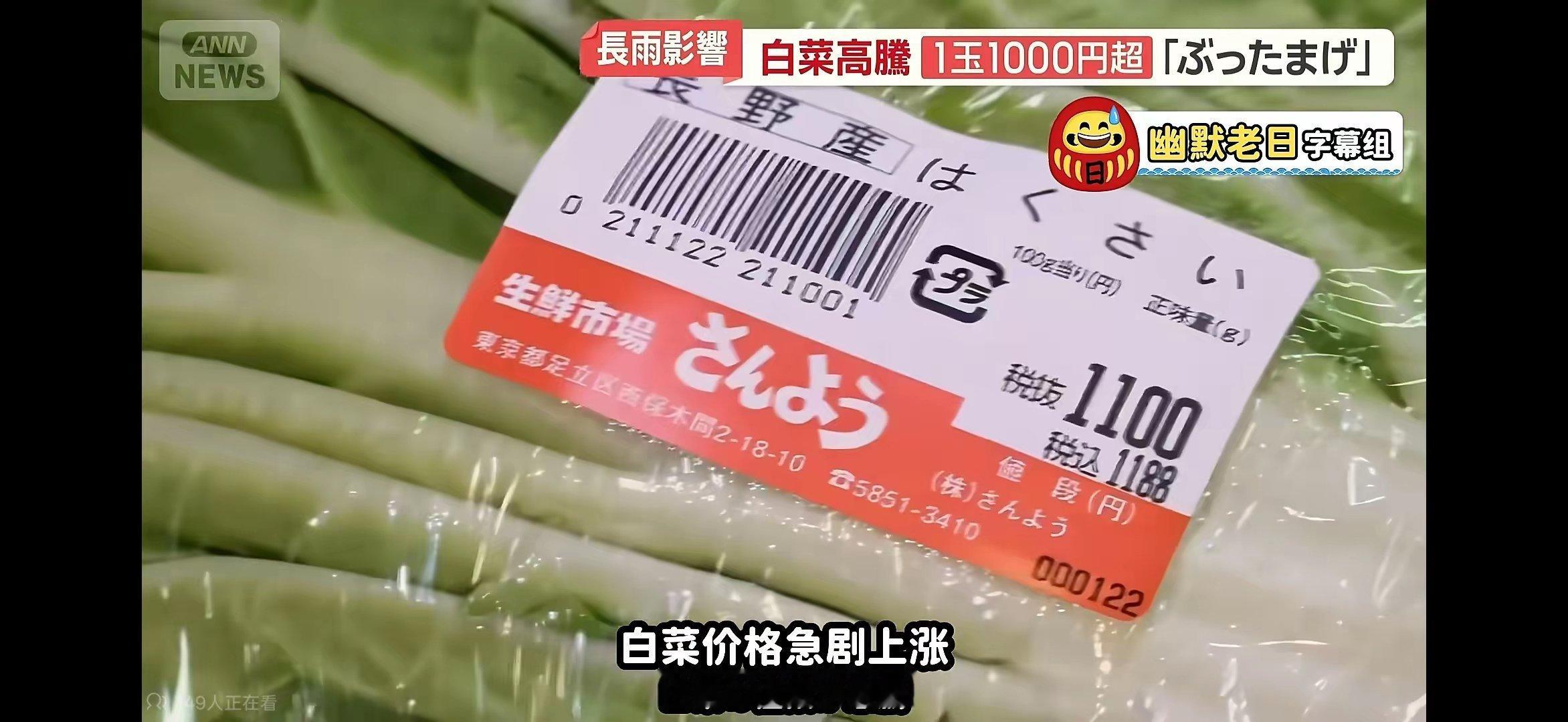 日本网友发文称，自己因为太想吃白菜了，纠结后买了四分之一个白菜切块，被旁边的阿姨
