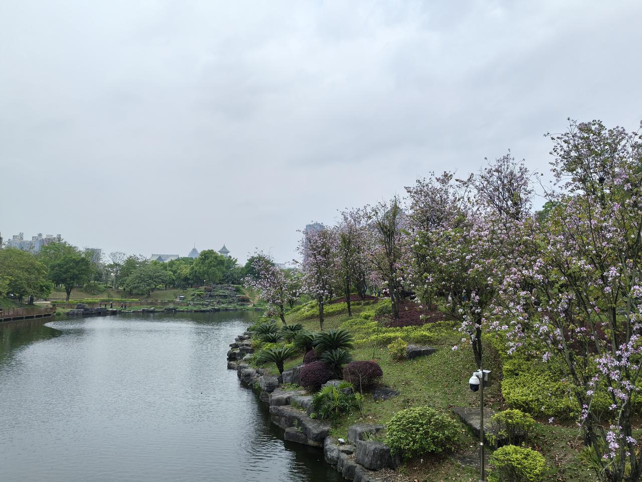 现在得癌症的人越来越多了有个朋友的妈妈好多年前得乳腺癌已经治好了。有个叔叔得