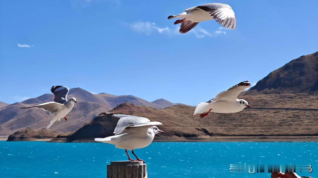 当你自身没有价值时，一句“新年快乐”都是对别人的打扰。别用人情淡漠来掩饰社会